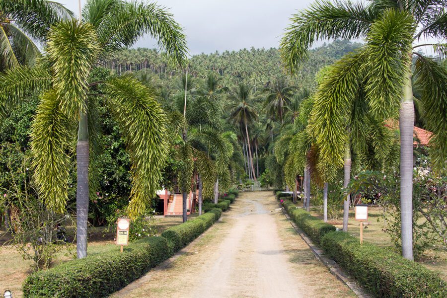 Malta Attractions How to Get Around Samui